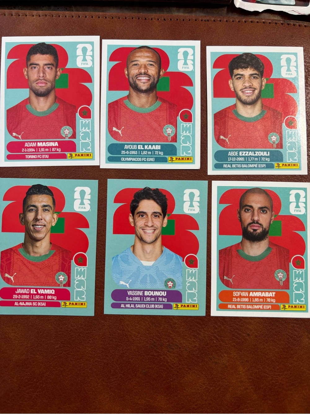Panini Morocco Football Sticker Set - Red, Green, Teal, Blue